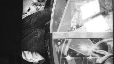 nippon india growth fund