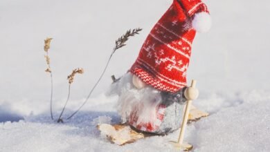 user registration system identifier