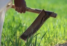 business evaluation of codes