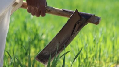 business evaluation of codes