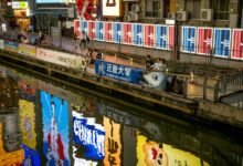 market signals and activity