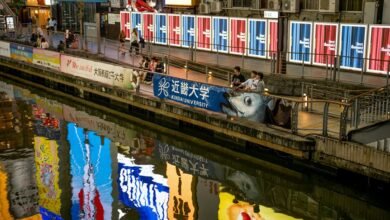 market signals and activity