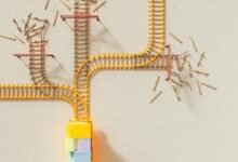 strategic data analysis insights